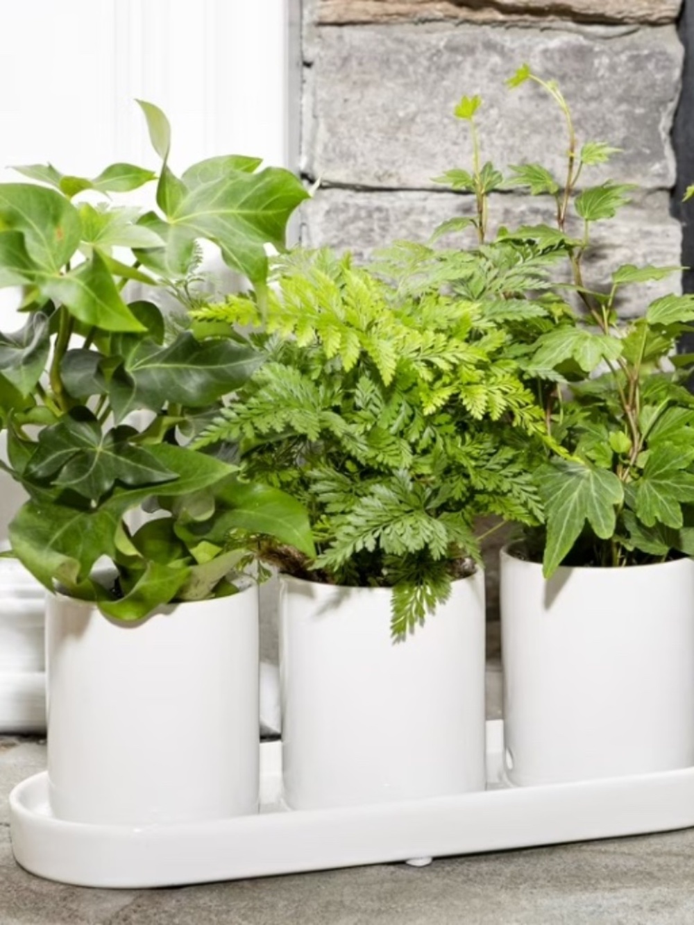 3 Pot Herb Planter - NWT